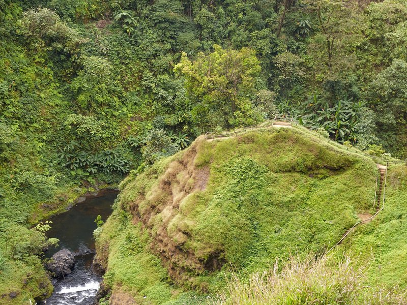 Bolaven Plateau